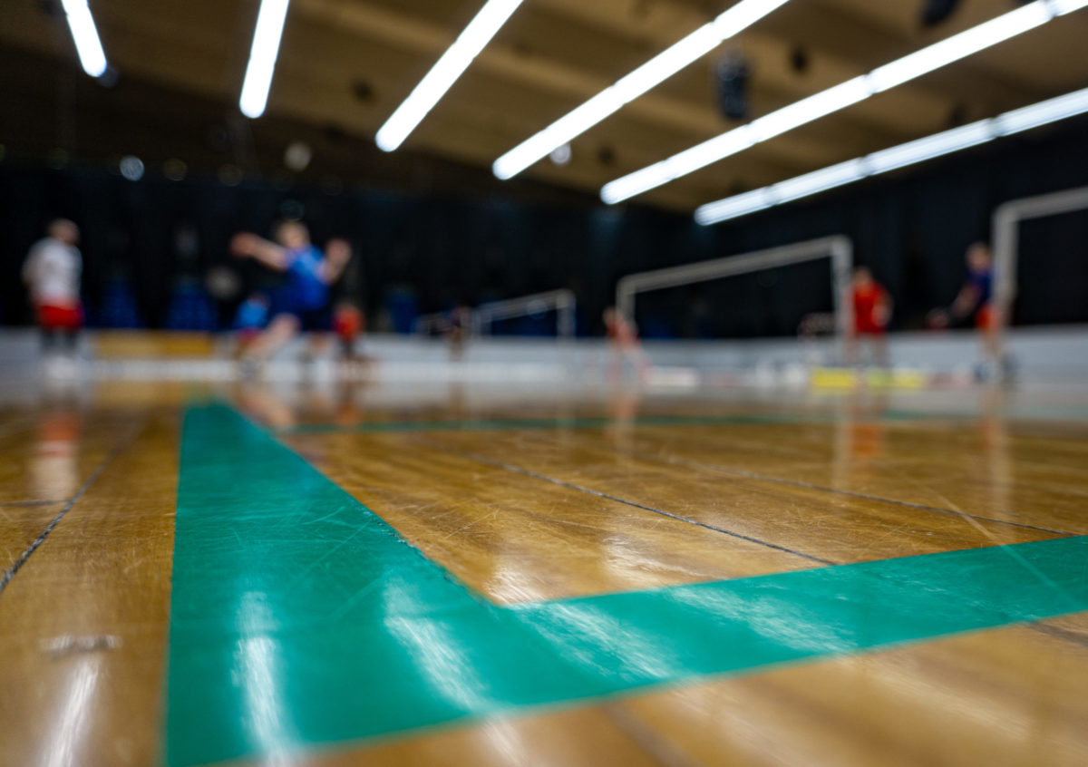 Det Nationale Elite Træningscenter - NETC - Brøndby - elitebadminton - udvikling - glæde - verdensklassespillere